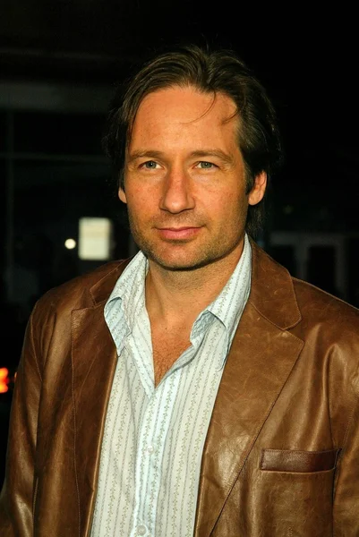 David Duchovny — Stock fotografie