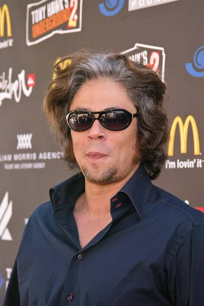 Benicio Del Toro — Zdjęcie stockowe