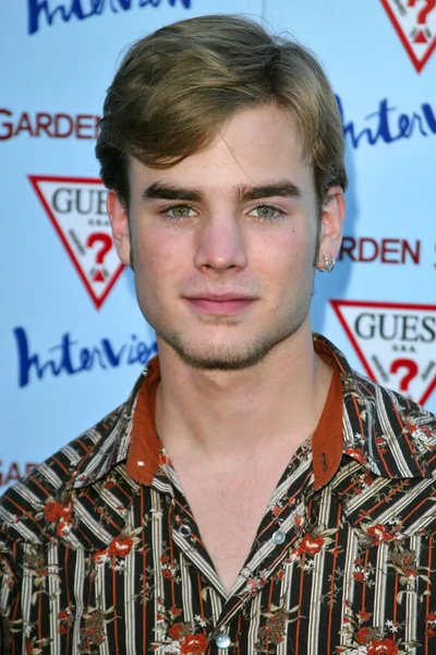 David Gallagher — Stockfoto