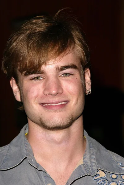 David Gallagher — Stockfoto