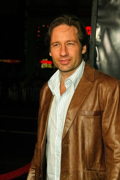 David Duchovny — Stockfoto