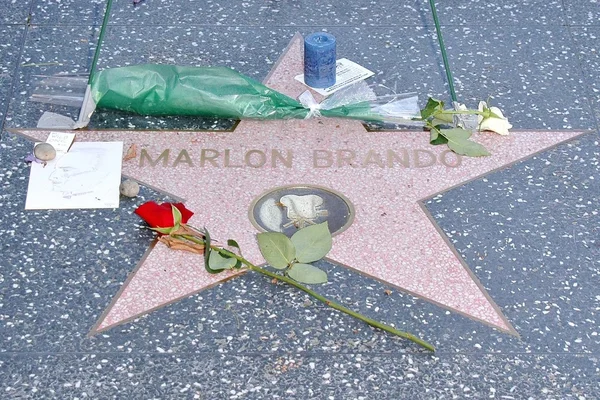 In Memory of Marlon Brando — Stock Photo, Image