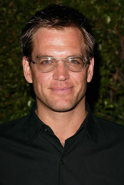 Michael Weatherly'nin — Stok fotoğraf