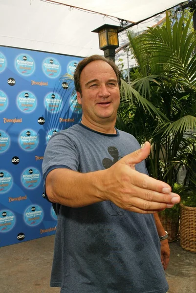 Jim Belushi — Stockfoto