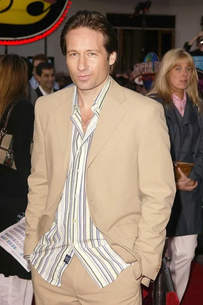 David Duchovny — Stock Fotó