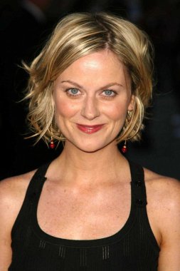 Amy Poehler
