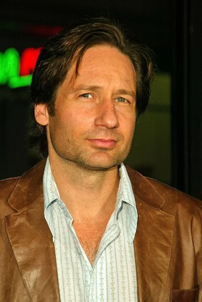 David Duchovny — Zdjęcie stockowe