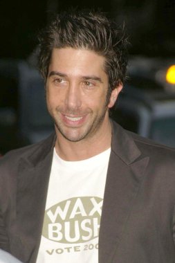 David Schwimmer