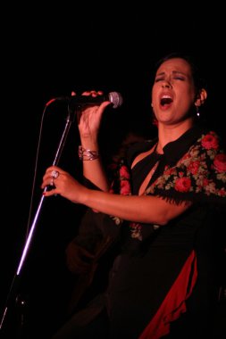 Rebekah Del Rio