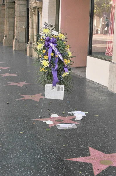 In Memory of Rodney Dangerfield 1921 - 2004 — Stock Photo, Image