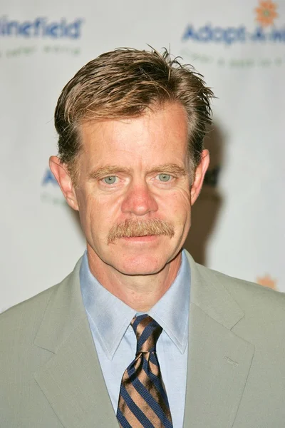 William H. Macy — Stock fotografie