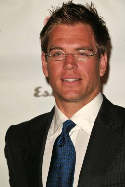 Michael Weatherly'nin