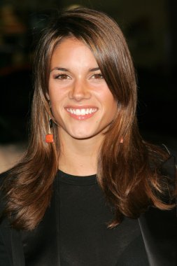 Missy Peregrym
