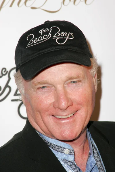 Mike Love — Stock Photo, Image