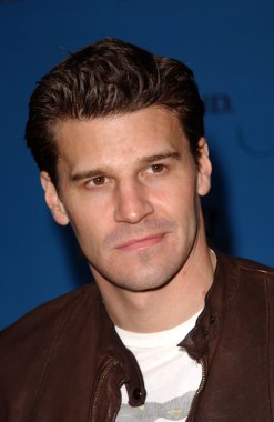 David Boreanaz
