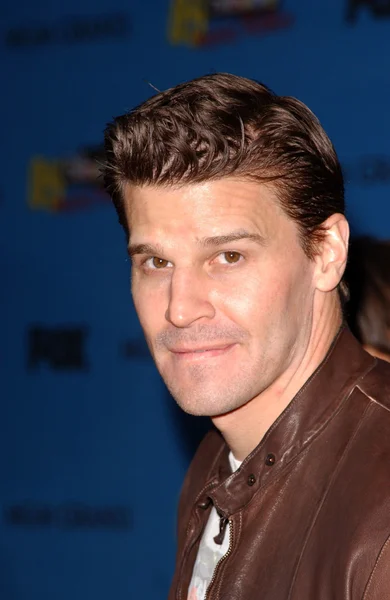 David Boreanaz — Stock Photo, Image