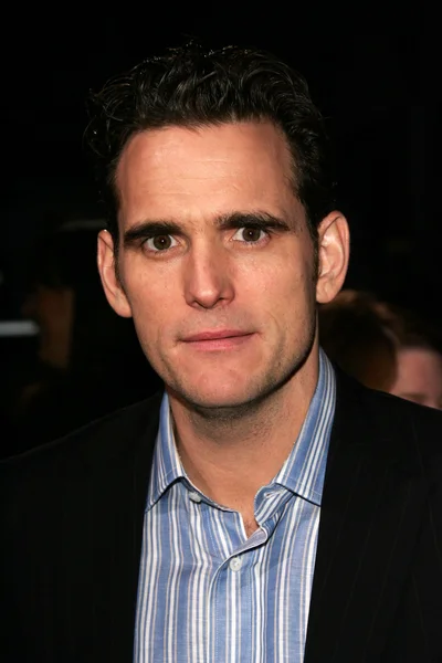 Matt Dillon — Stockfoto