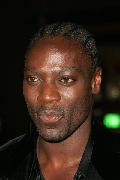 Adewale akinnuoye-agbaje — Zdjęcie stockowe