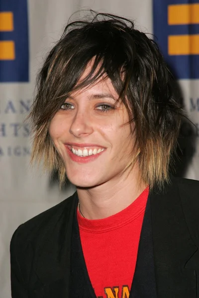 Katherine Moennig — Photo