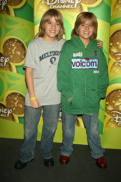 Dylan Sprouse e Cole Sprouse — Foto Stock