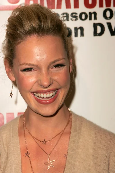 Katherine Heigl — Foto de Stock