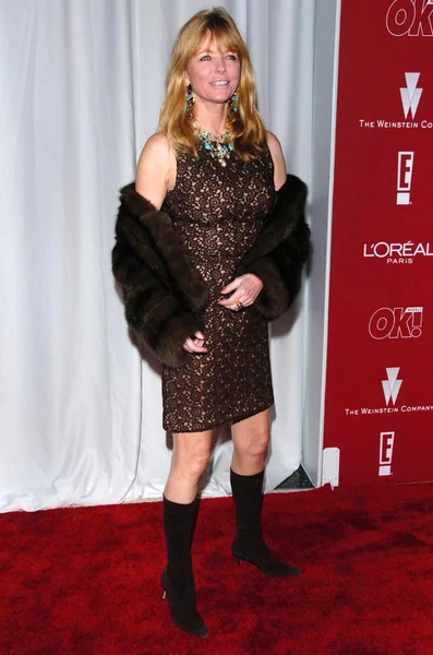 Cheryl Tiegs en The Weinstein Companys 2006 Pre-Oscar Party. Pacific Design Center, West Hollywood, CA. 03-04-06 — Foto de Stock