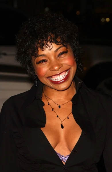 Paula Jai Parker at the Los Angeles Premiere of ATL. Graumans Chinese Theatre, Hollywood, CA. 03-30-06 — Stock Photo, Image