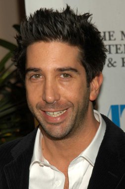 David Schwimmer