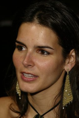 Angie harmon
