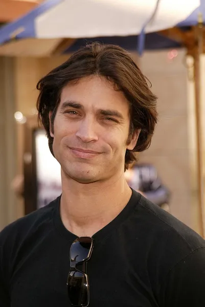 Johnathon Schaech — 图库照片