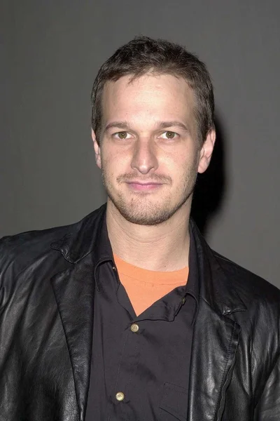 Josh Charles. — Foto de Stock