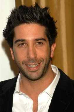 David Schwimmer