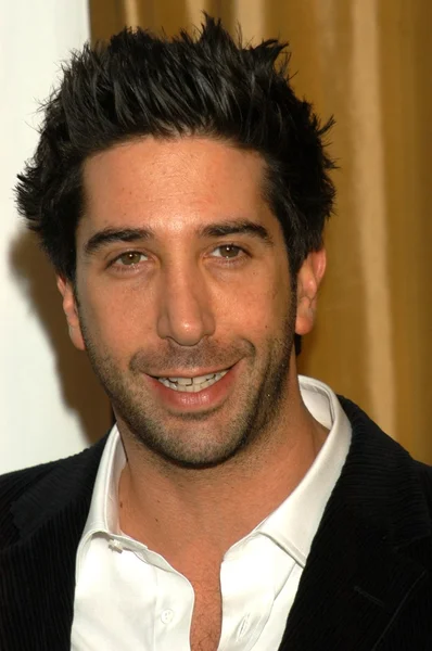 David Schwimmer — Foto de Stock