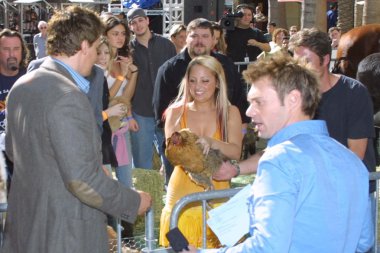 Ryan seacrest ve david boreanaz