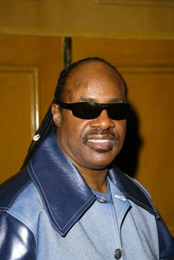 Stevie Wonder