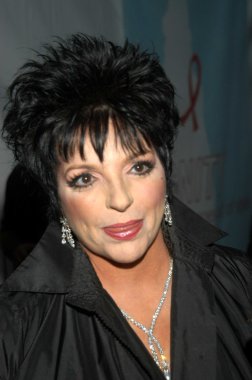 Liza Minnelli