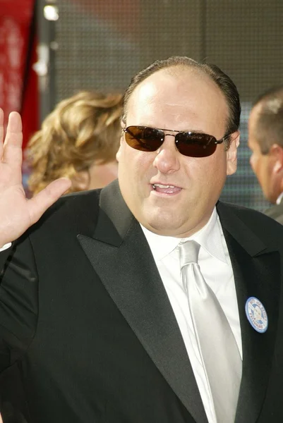 James Gandolfini. — Fotografia de Stock