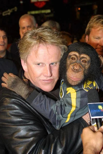 Gary Busey y Cody (el chimpancé) ) — Foto de Stock