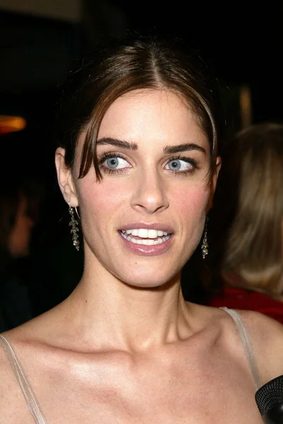 Amanda Peet — Stock Photo, Image