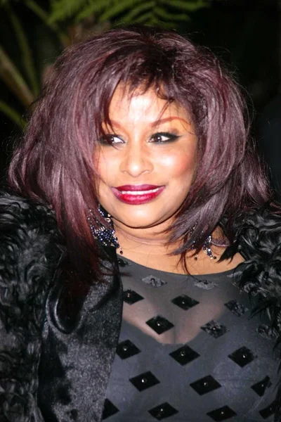 Chaka Khan — Stock Photo, Image