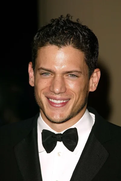 Wentworth Miller — Stock Photo, Image