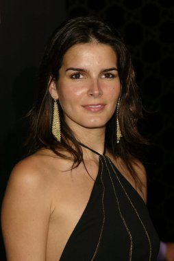 Angie harmon