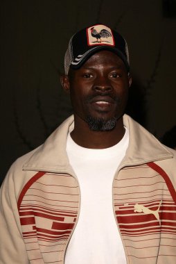 Djimon Hounsou