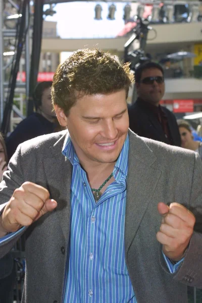 David Boreanaz — Photo