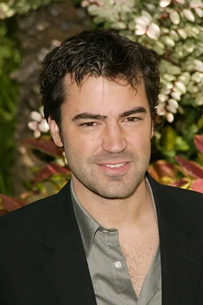 Ron Livingston — Stock Photo, Image