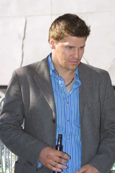 David Boreanaz — Photo