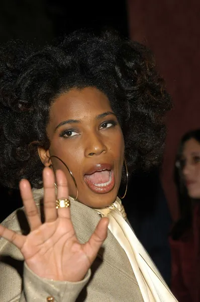 Macy Gray — Stock Photo, Image