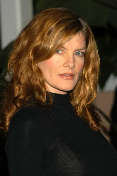 Rene Russo vagyok. — Stock Fotó