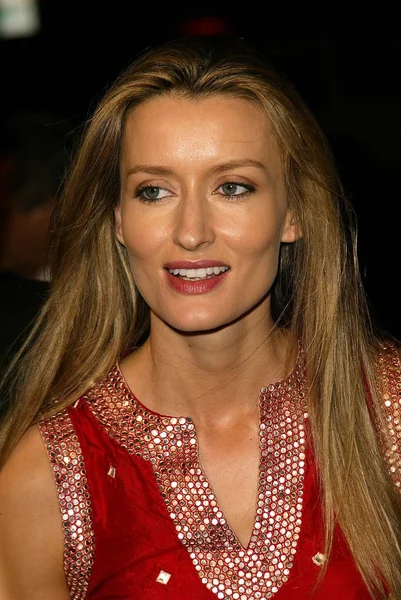 Natascha McElhone — Stok fotoğraf