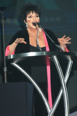 Liza Minnelli